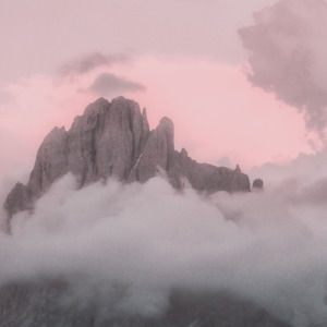 Meet your Posher, Catherine